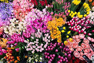 《丝之歌》团队回应难度争议：没变难 而是更自由了