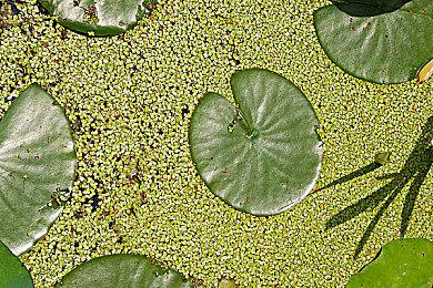 Gearbox详解《无主之地4》小地图问题：玩了就明白